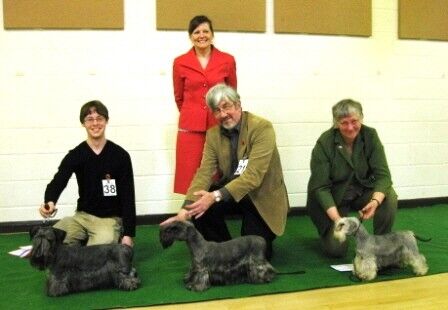 2010 Limit Show