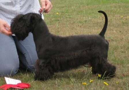 2010 Open ND