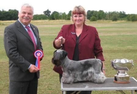 2010 Open Show BIS