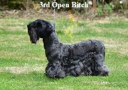3 OB
