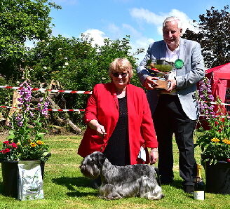 BIS--Janski-Bugurovski 2