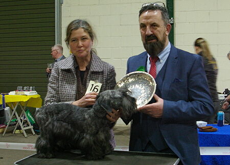 Best Puppy In Show Open Show 2023