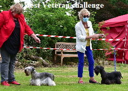 Best-Veteran-challenge