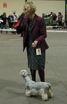 Good Citizen Dog Open 2023