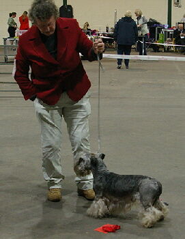 Veteran Dog Open 2023