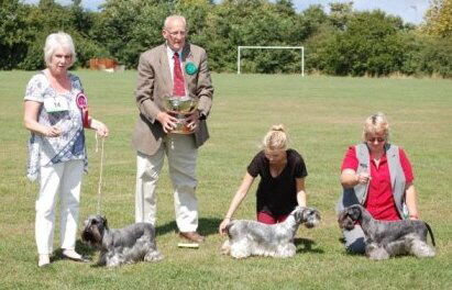 2014 Open Show