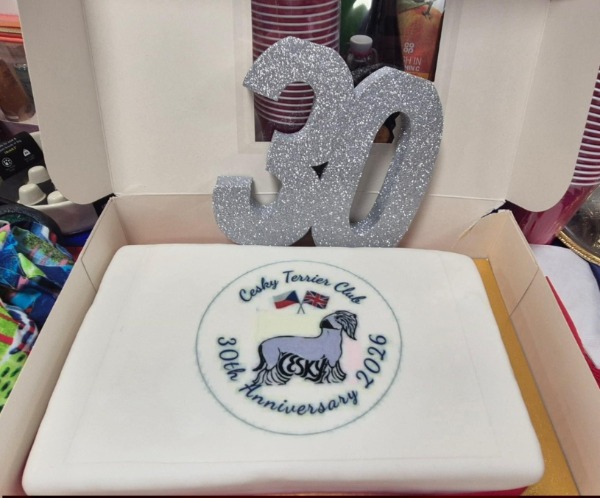 30th Anniversary Open Show (January)