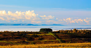 A Sea of Mist