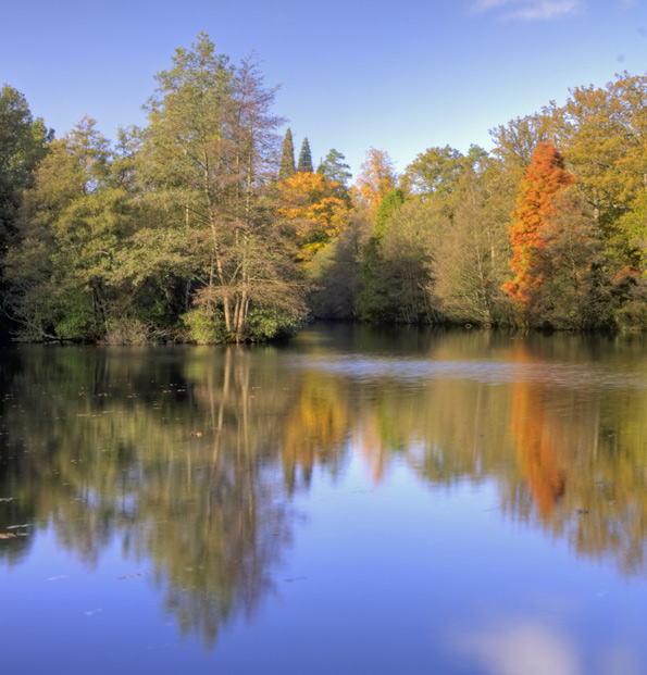 Autumn Falls on Westwood Lake