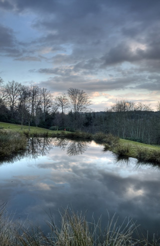 The Water Trap