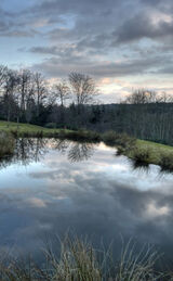 The Water Trap