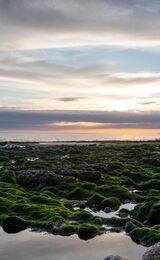 Birling Gap Sunset II