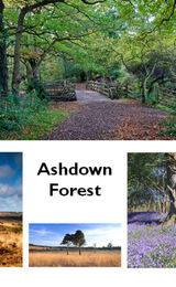 Ashdown Forest Glimpses Greetings Card