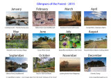 2015 Limited Edition Calendar on sale