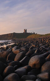 Early May morning at Dunstanburgh Castle