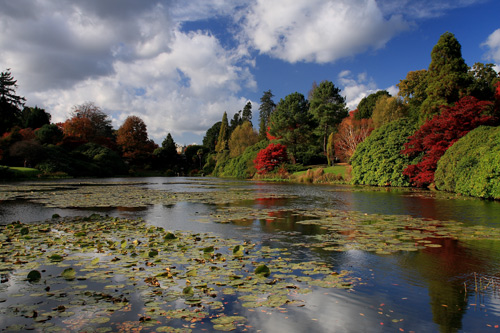 Autumn Shines