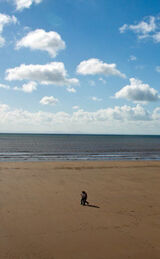 Swansea Bay - Panorama