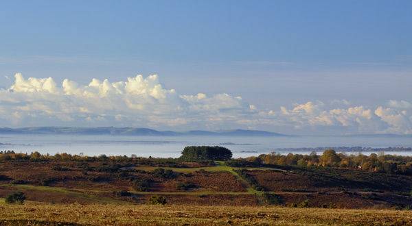 A Sea of Mist