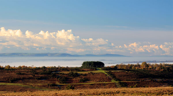 A Sea of Mist