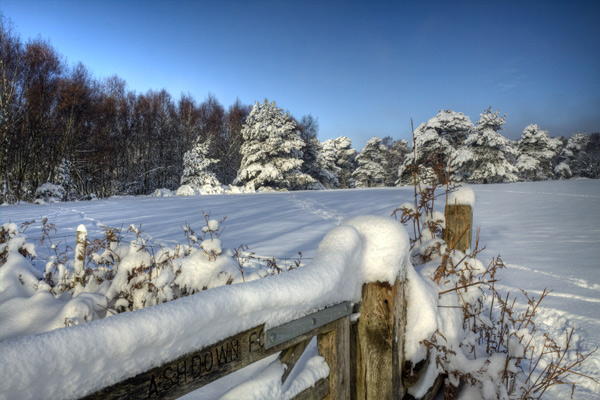 Christmas Card: Forest Gate in Snow, Ashdown Forest