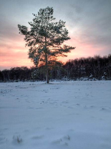 A Winter's Sunset, 2010