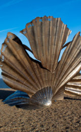 Britten's OysterShell