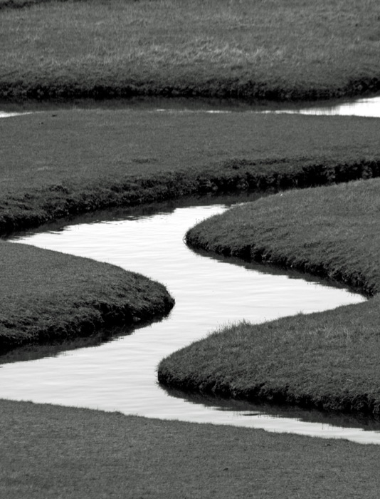 Shapes in the flats