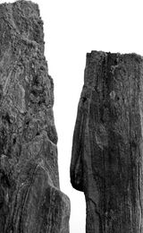 Stone Giants Talk