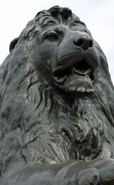 Landseer Lion