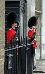On Guard