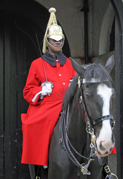 Horse Guard in command