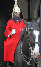 Horse Guard in command