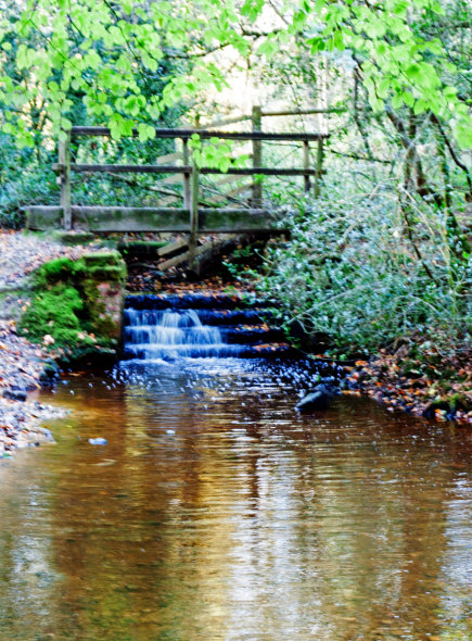 Millbrook stream, Chelwood Vachary