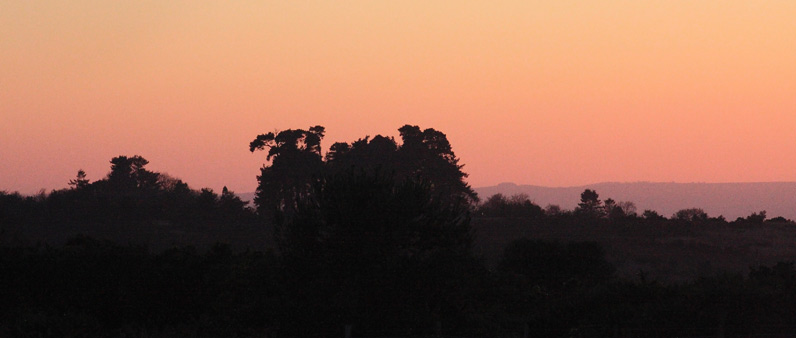 Winter Sunset over the Forest