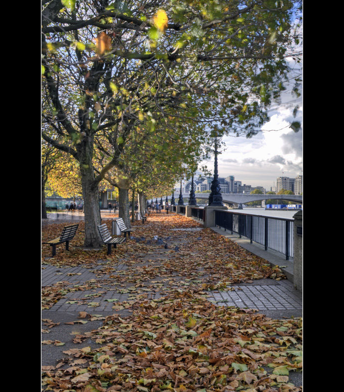 Autumn Leaves on South Bank, London