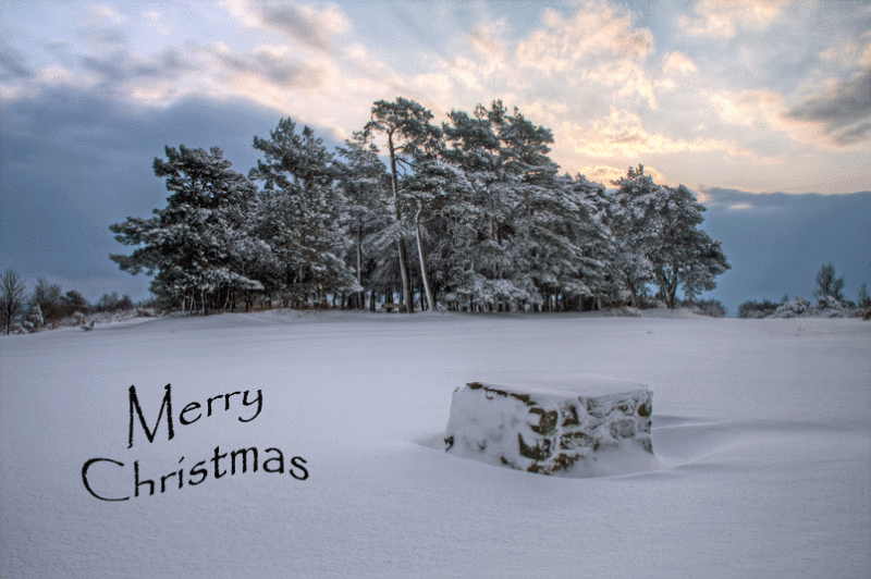 Merry Christmas and a Happy New Year