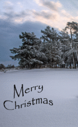 Merry Christmas and a Happy New Year