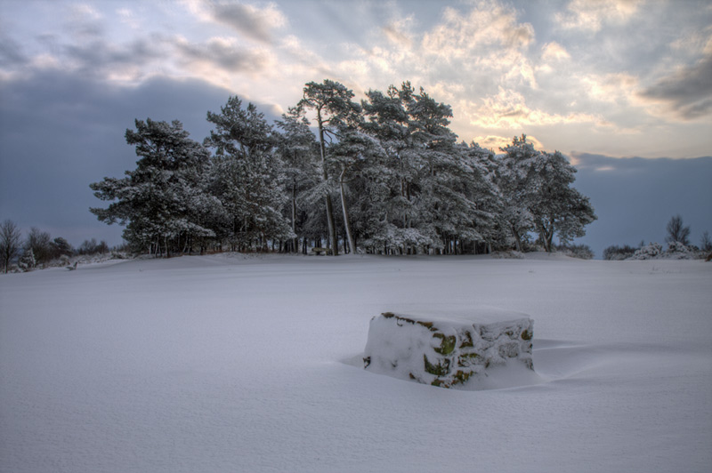 Snow over Kings Standing, Ashdown Forest, Sussex
