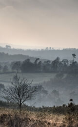 Card: Misty Afternoon over "The Garden of Eden"