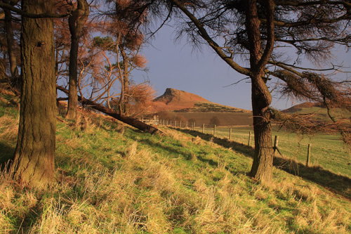 Early Morning at Roseberry Topping