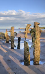 Sandsend Beach, Nr Whitby, North Yorkshire