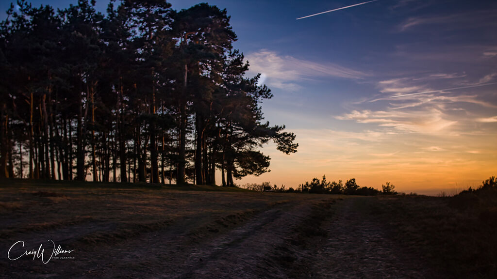 Sunset at Friends Clump