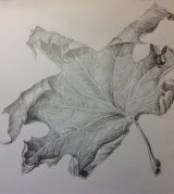 Pencil leaf - finished