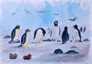 Watercolour sketch of The Penguins of  Bluff Cove-Falklands