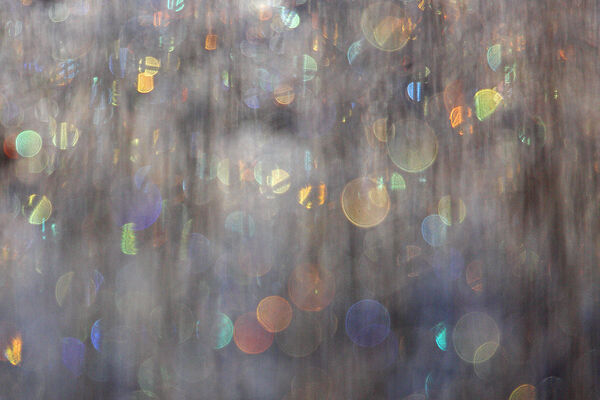 Light through frosted reeds