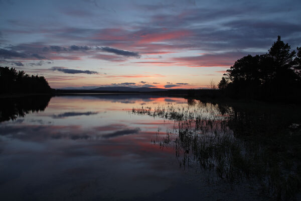 Loch Morlich
