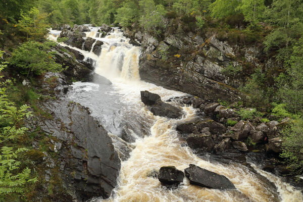 July 2019 - Rogie falls, near Contin