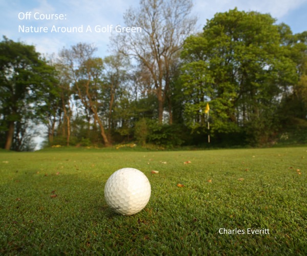 Off Course: Nature Around A Golf Green
