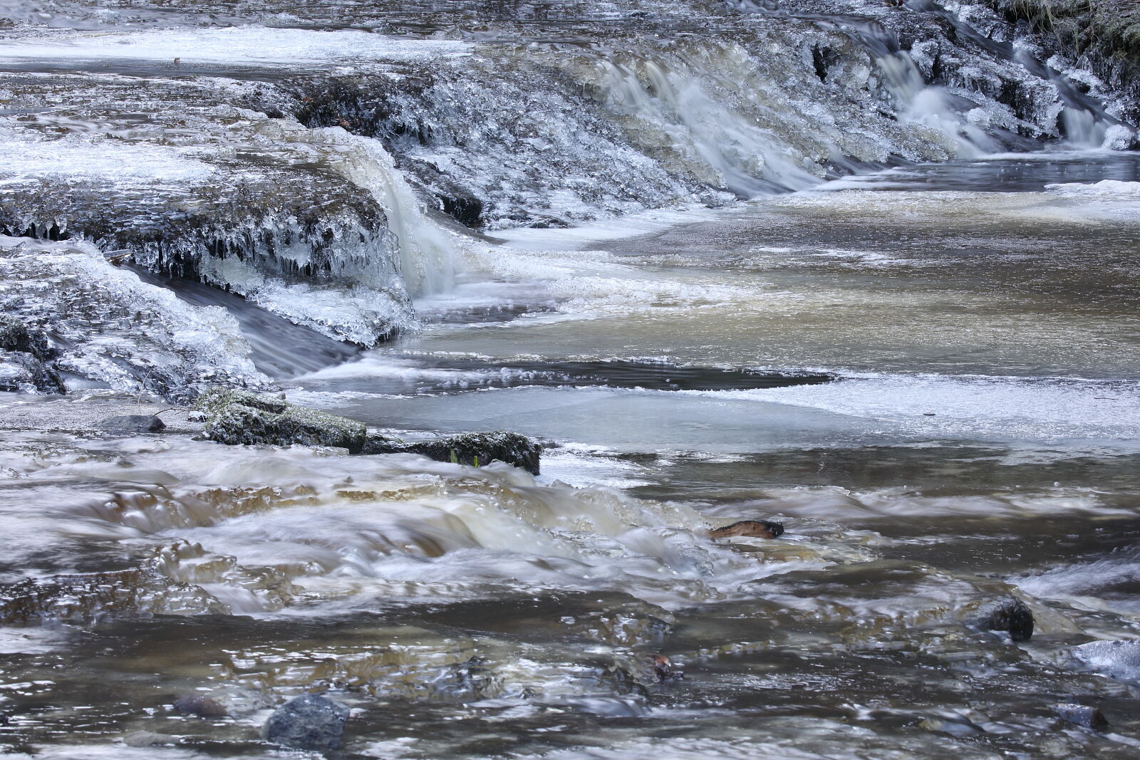 February 2026 - Colinton weir in ice