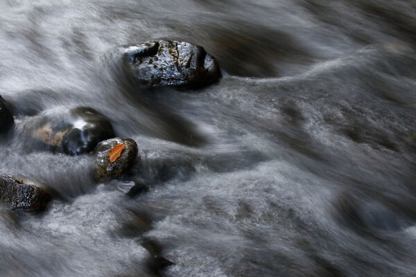 Picture of the Month